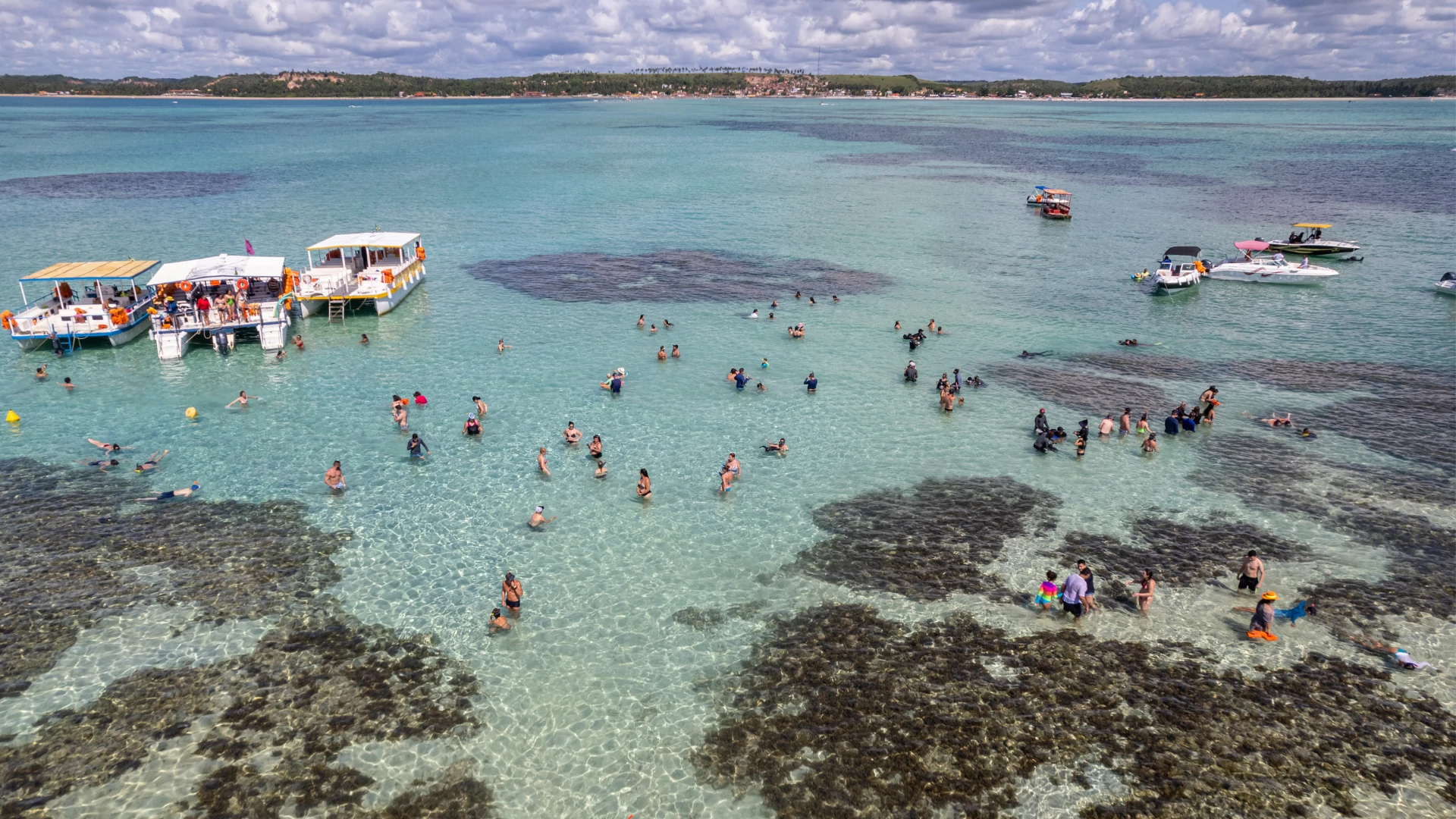 Maceió Alagoas Maragogi