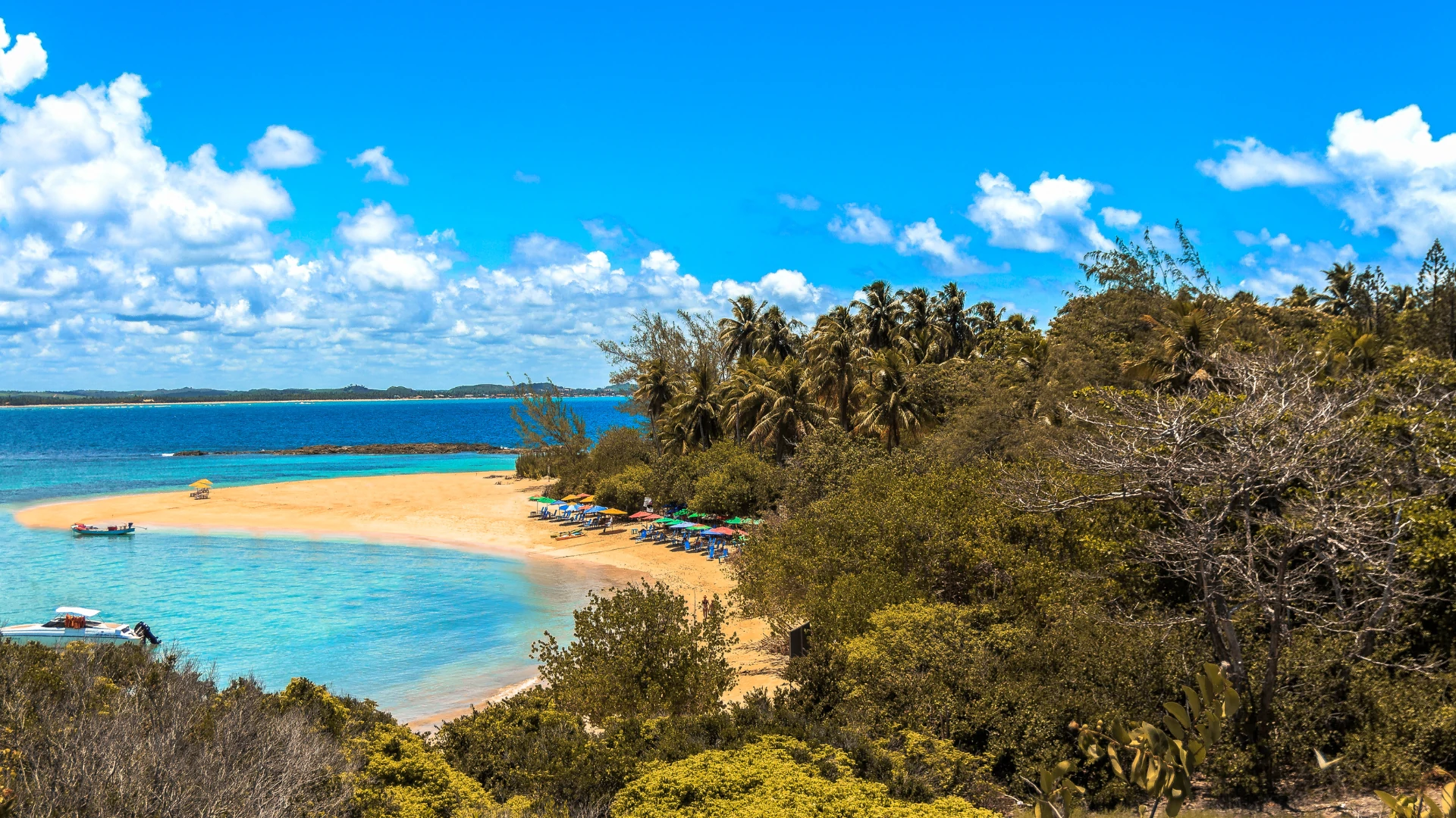 Ilha de Santo Aleixo Joao Pessoa Paraíba