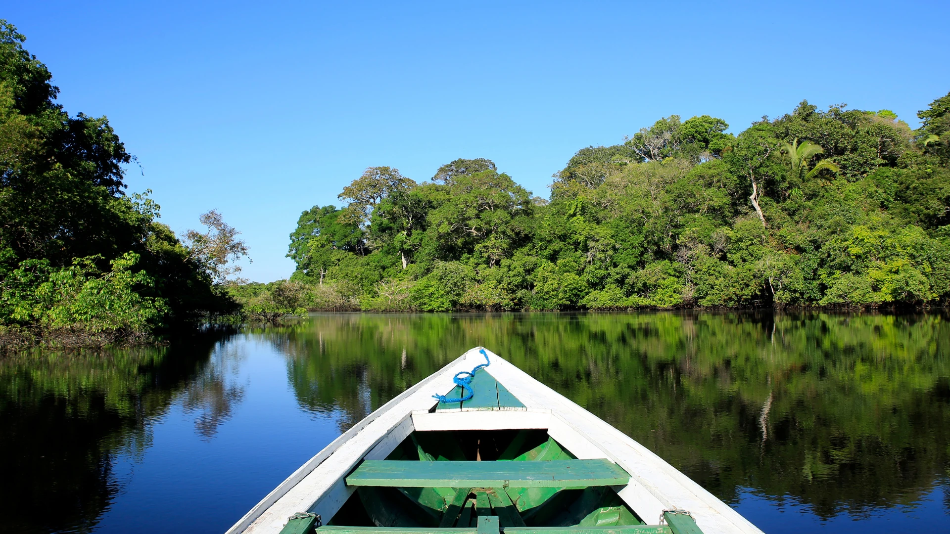 Passeio de barco pela Selva Amazonica, viagem para Manaus, Amazonas